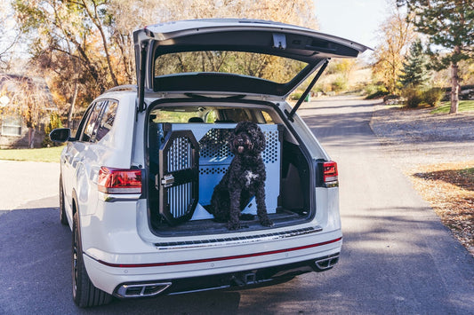 Dog Crates For Pickup Trucks: Legal Rules, Tie-Down Tips, And Top Safety Features