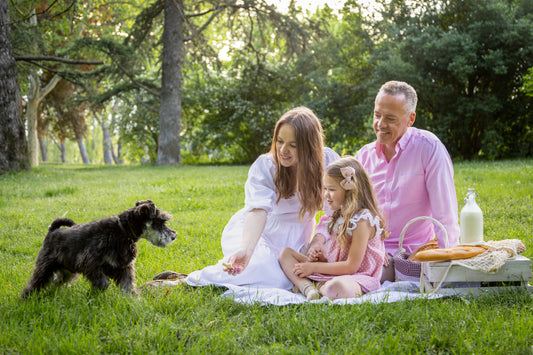 Dog Crate vs. Playpen: Which Is Better for Potty Training?