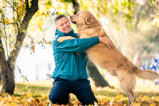 Using A Crate To Help A Dog With Separation Anxiety