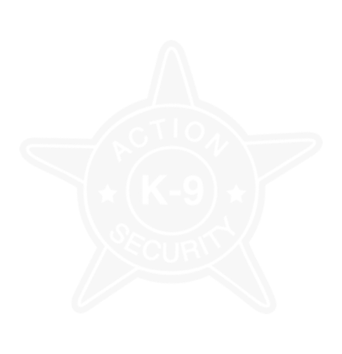 AK9S Star logo