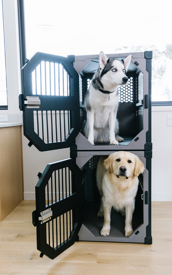 Stackable stationary crates by Rock Creek Crates with Husky and Golden Retriever