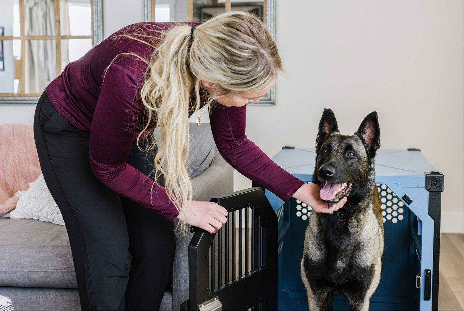 Rock Cree Crates blue collapsible crate with German Shepard and owner