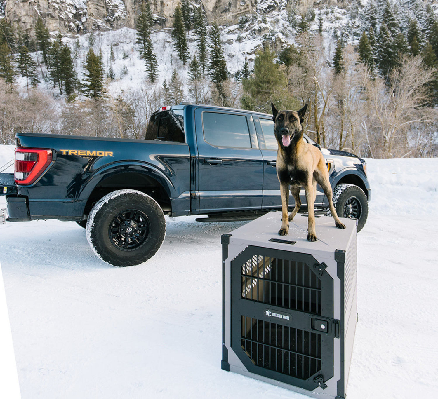Rock Creek Crates stationary crate in the snow with a German Shepard