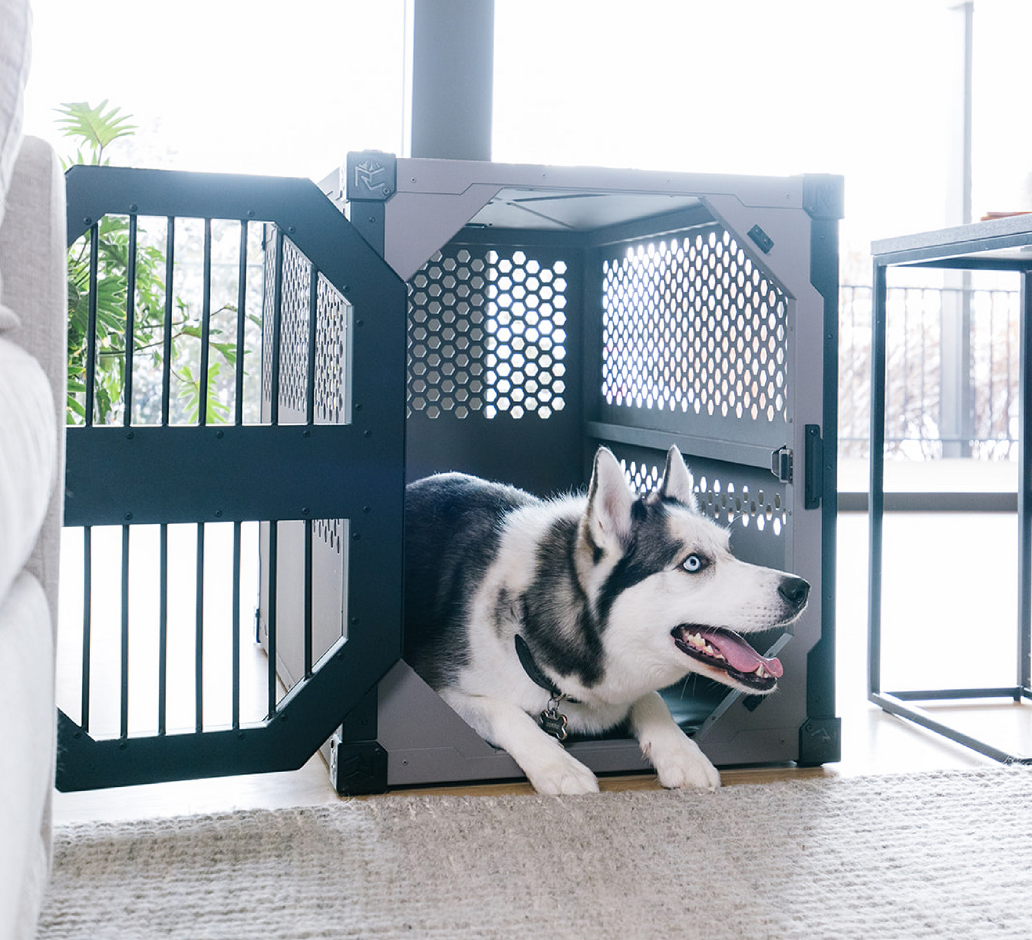 Rock Creek Crates stationary crate indoors with a husky laying down inside