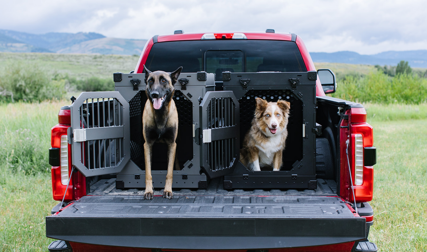 Two collapsible crates by Rock Creek Crates, assembled with dogs in the back of a red truck bed