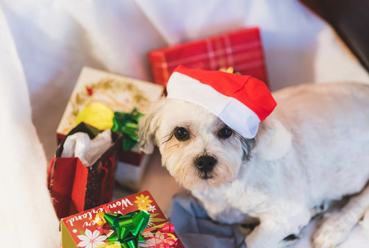 The Holidays Are Upon Us – Here Are The Gifts Dog Lovers Love