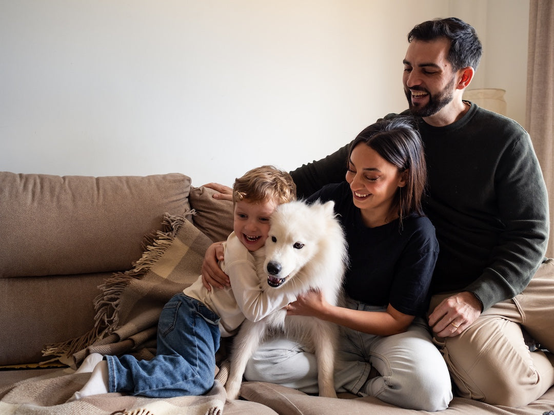 Aluminum Vs Wire Dog Crate: Weighing The Pros And Cons