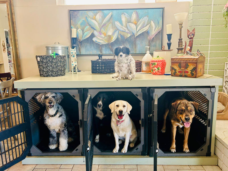 Getting Your Dog To Quiet Down For Crate Time