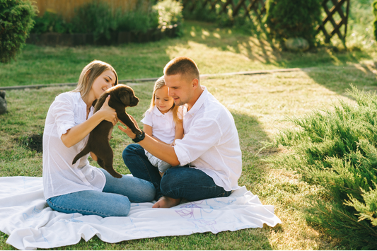 Getting Your Space Ready To Bring Home A New Best Friend