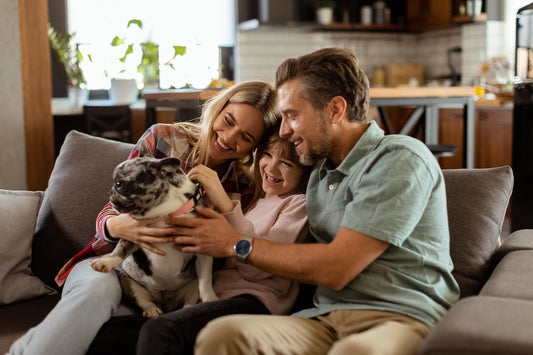 How to Help a Dog Adjust to a New Home