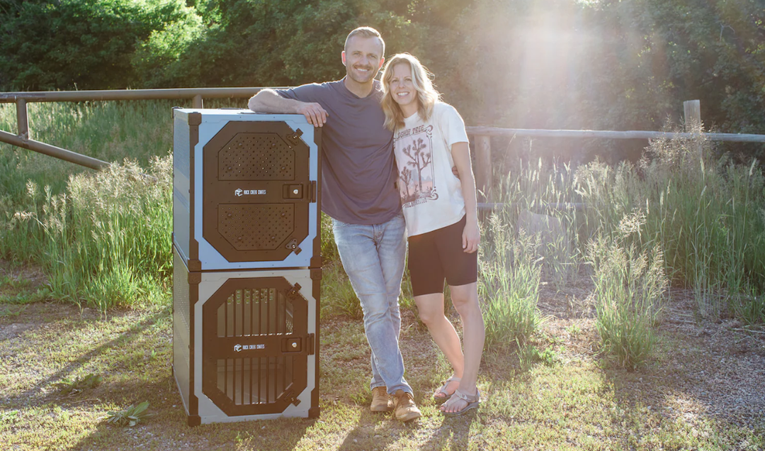 How to Safely Travel With Multiple Dogs in a Car: Crate Tips for Road Trips