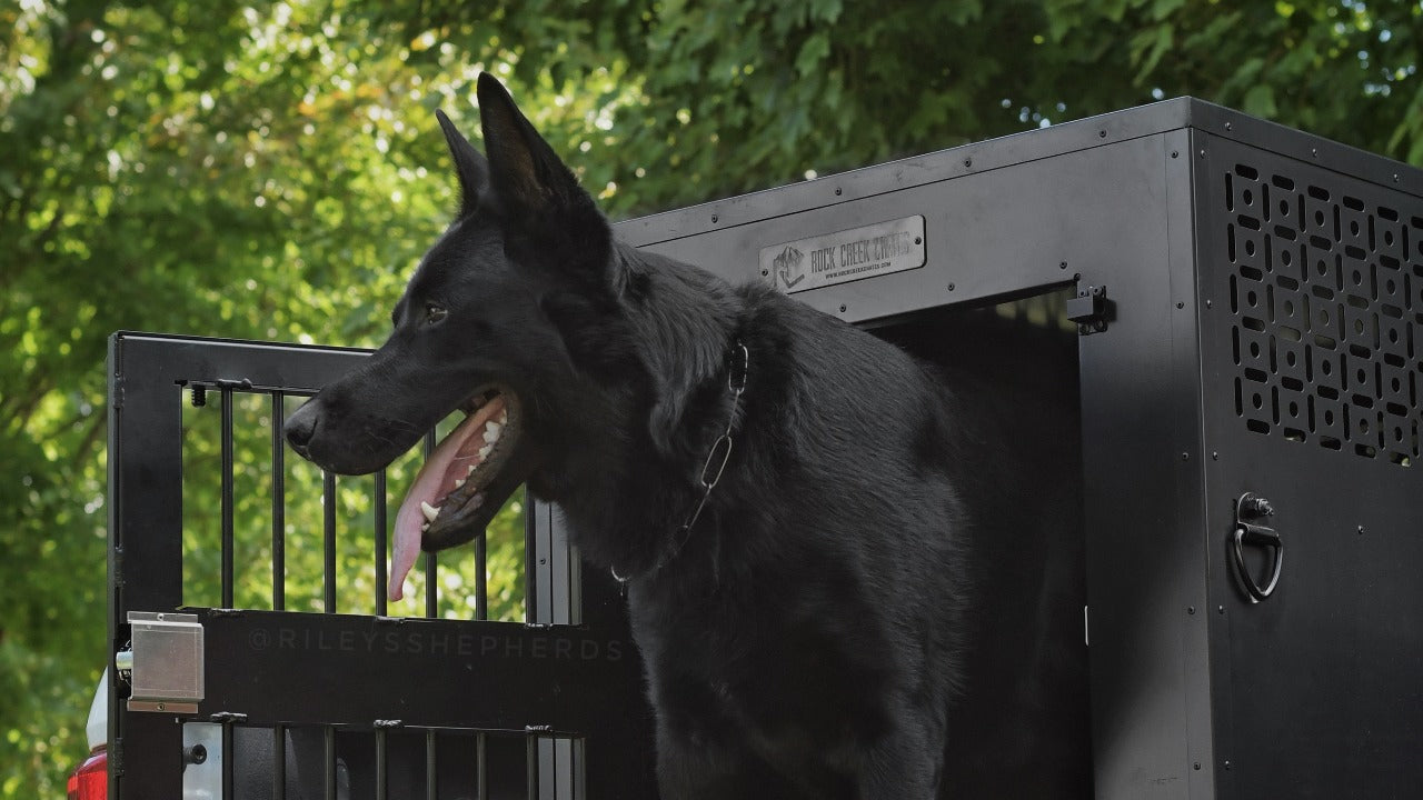 How To Clean A Dog Crate Keeping It Quick And Easy Rock Creek Crates