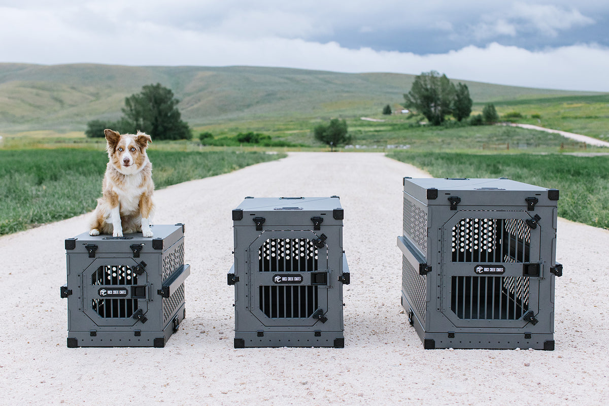 How To Find The Right Size For Your Dog’s Perfect Crate