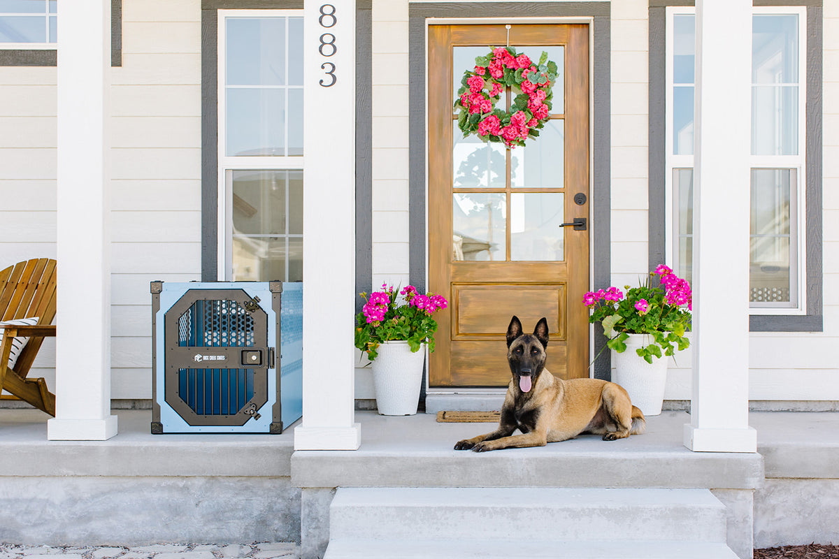 How To Crate Train A Dog Is The Most Important Trick You’ll Ever Learn Together 