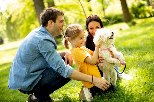 The Right Crate To Keep Your Escape Artist Pup Safe