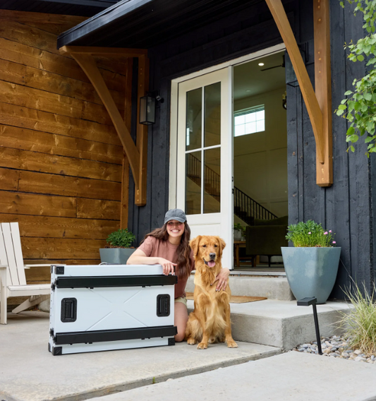 Where Should You Put a Dog Crate in Your Home?