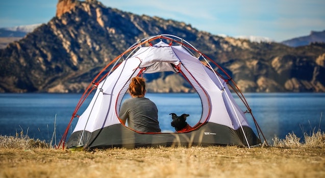 Woman and dog camping in tent