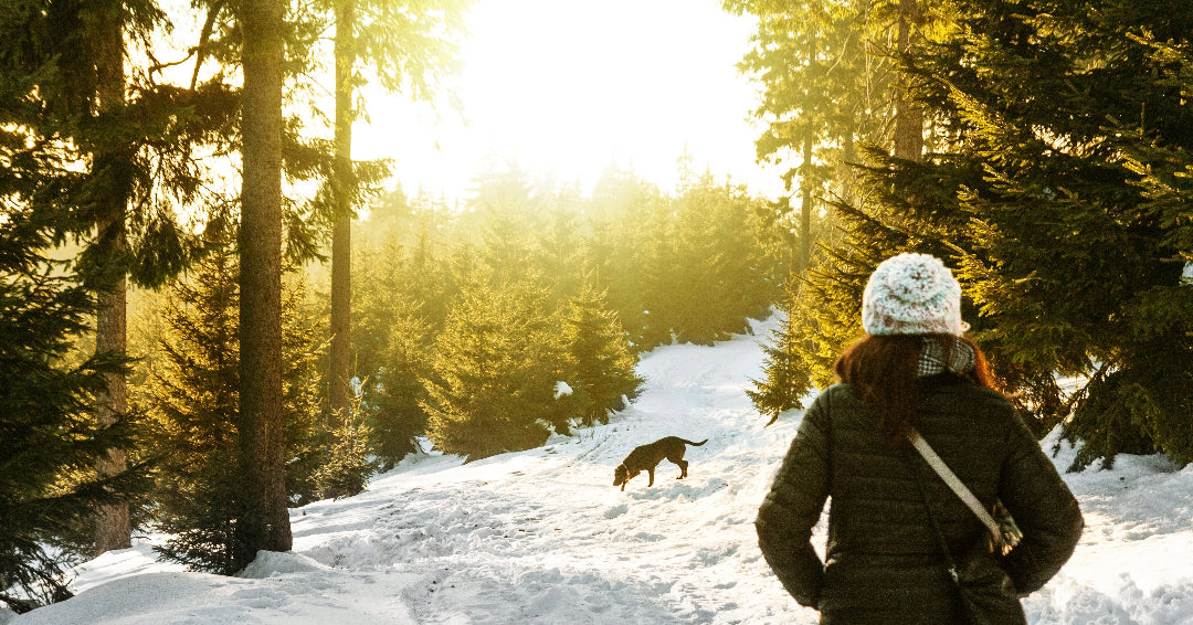 6 Tips to Keep Your Dog Safe and Warm in the Winter