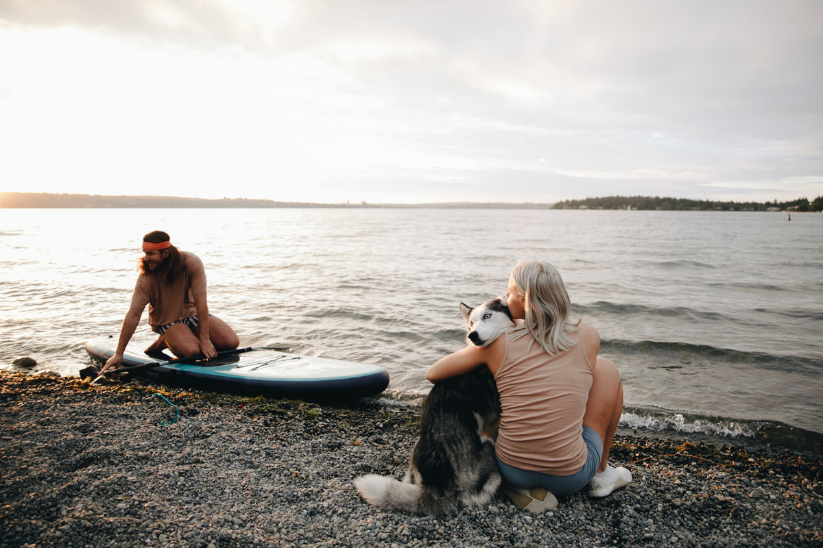 Dog-Friendly Vacations & Travel Tips