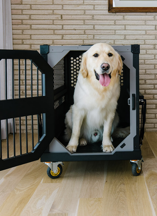 Dog Crate Accessories