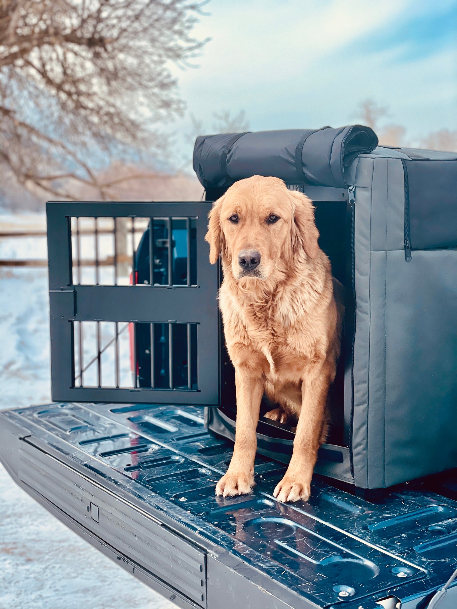 Hunting Dog Crates | Hunting Dog Crates For Trucks - Rock Creek Crates