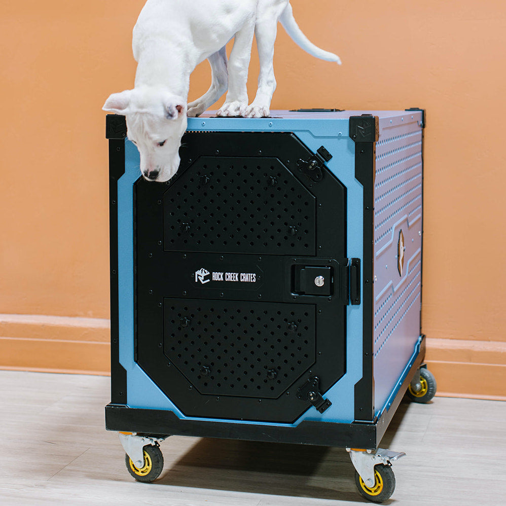 Dog crate cart best sale