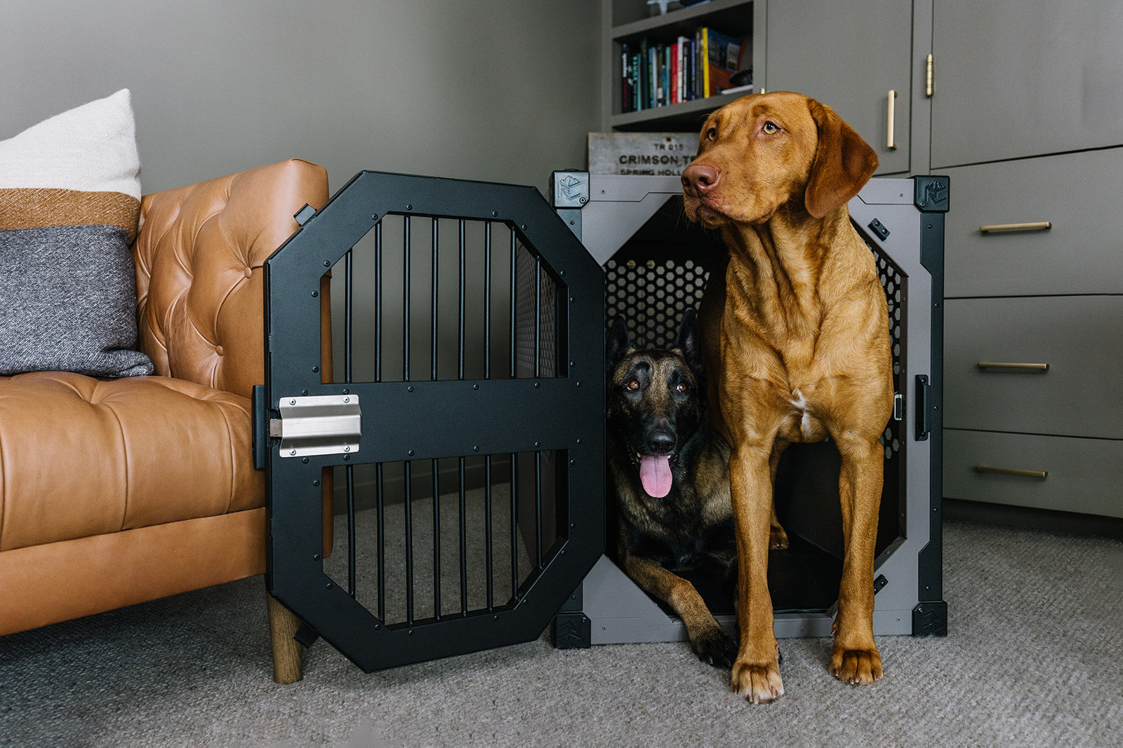 Crash Tested Dog Crates Rock Creek Crates Crash Tested Dog Crates Rock Creek Crates