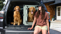 Collapsible Dog Crate