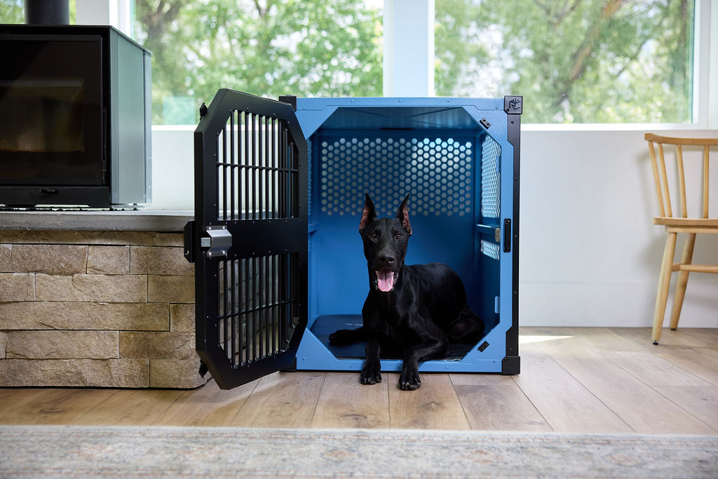 Stationary Dog Crate