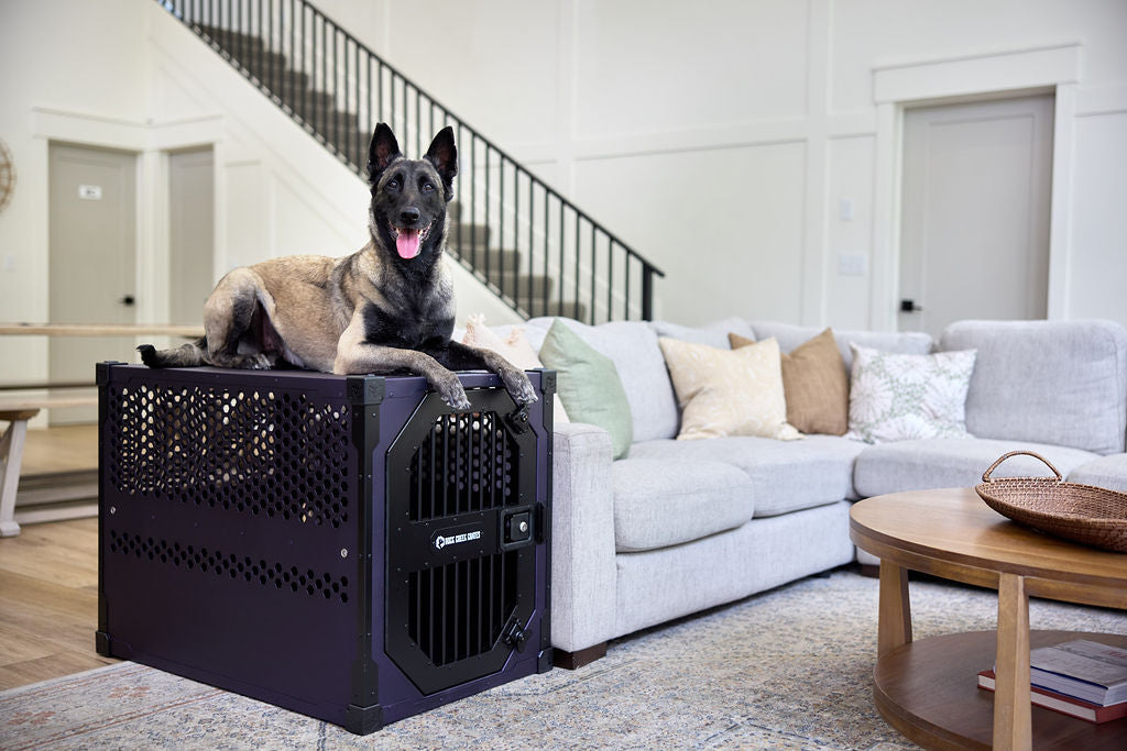 Stationary Dog Crate