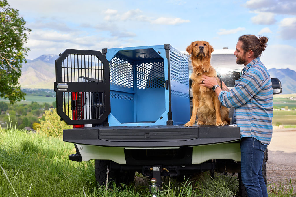Stationary Dog Crate