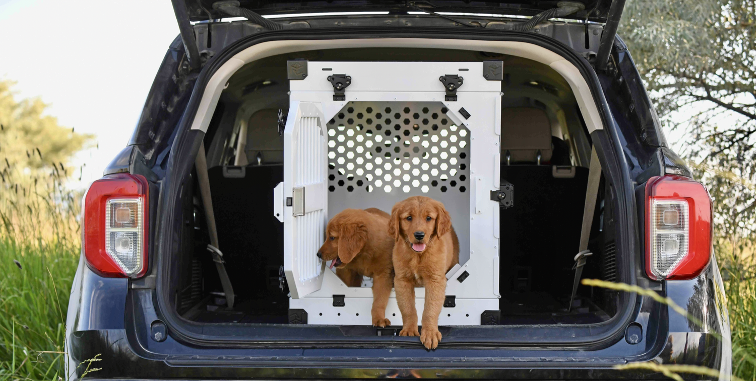 Rock Creek Crates collapsible crate with 2 puppies