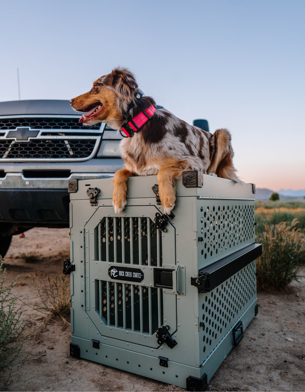 Dog car crate clearance crash proof