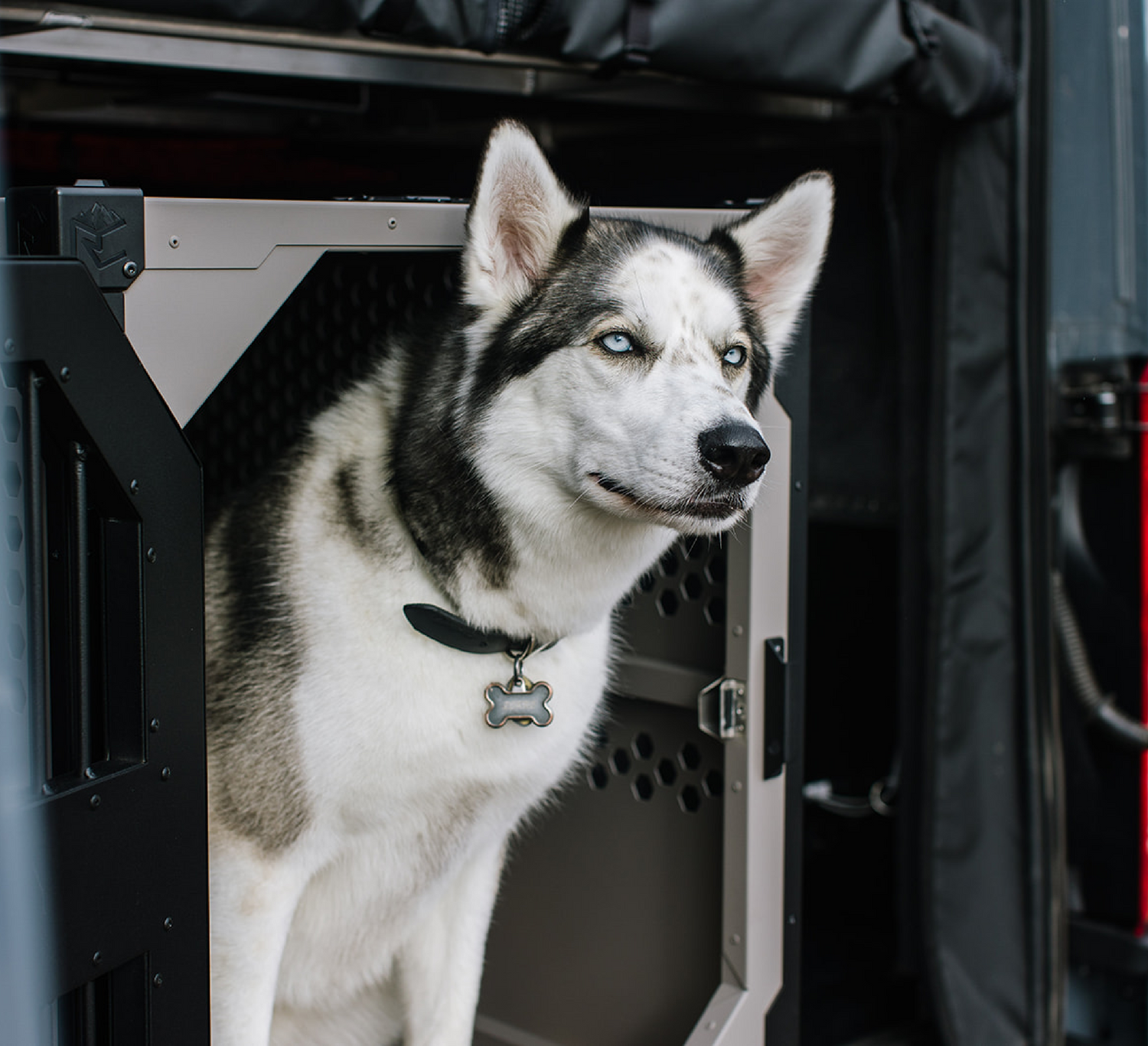 Rock Creek Crates grey stationary crate with a husky