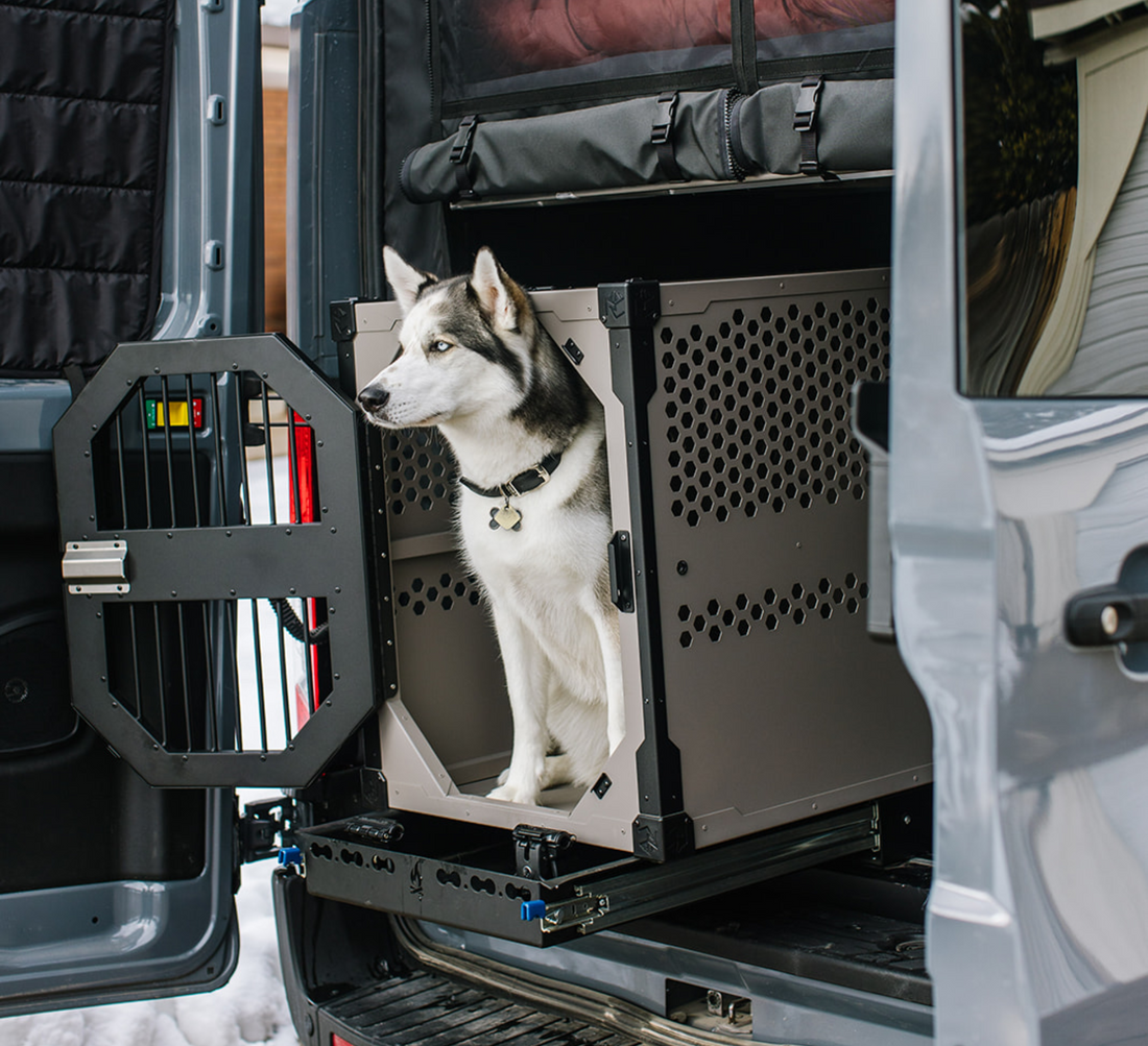 Beautiful view of Dog Crate Window Holes Safety