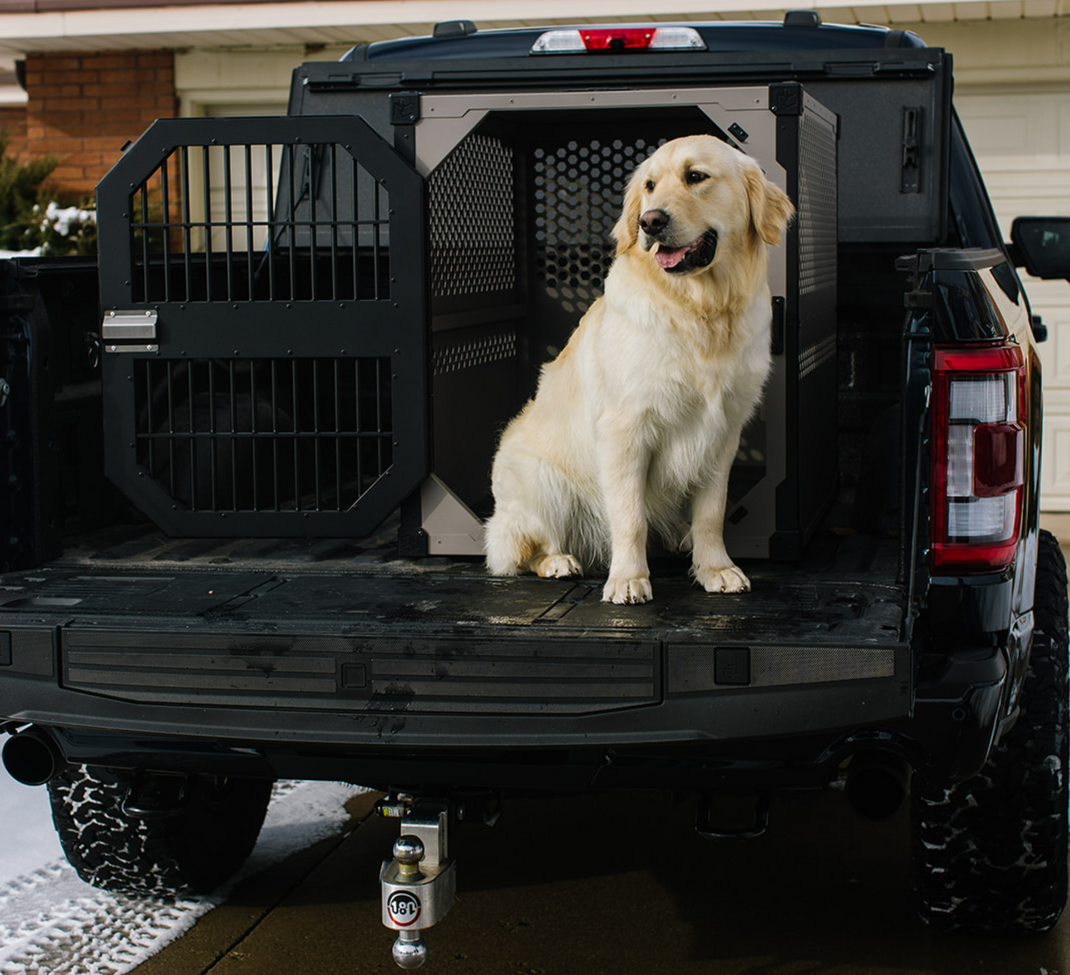 Crash Tested Dog Crates Rock Creek Crates