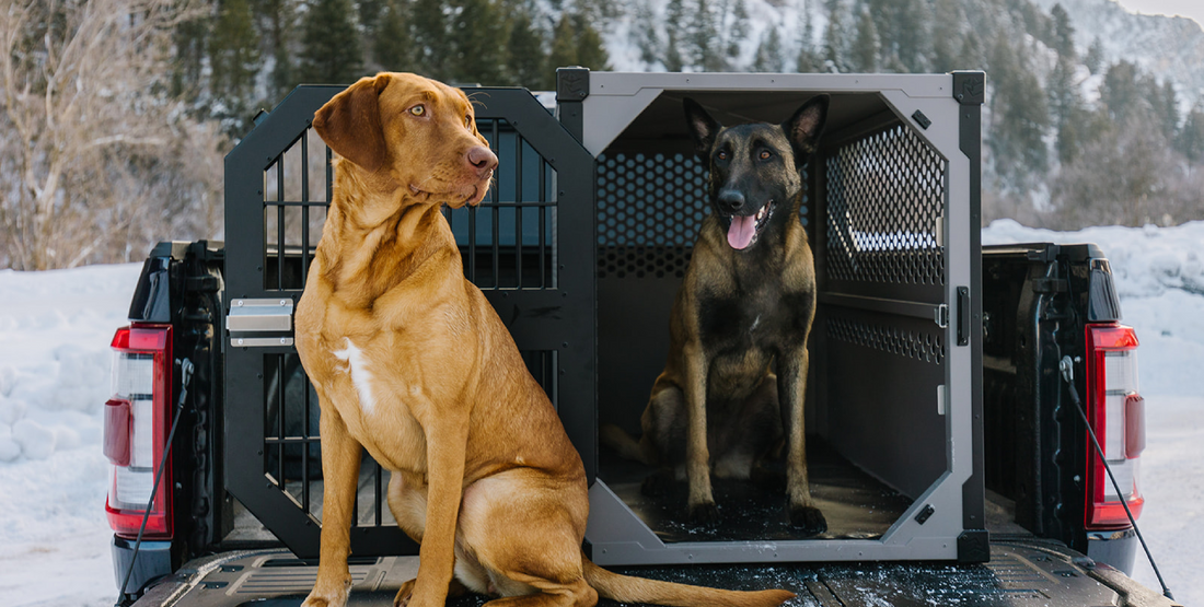 Crash Tested Dog Crates Rock Creek Crates