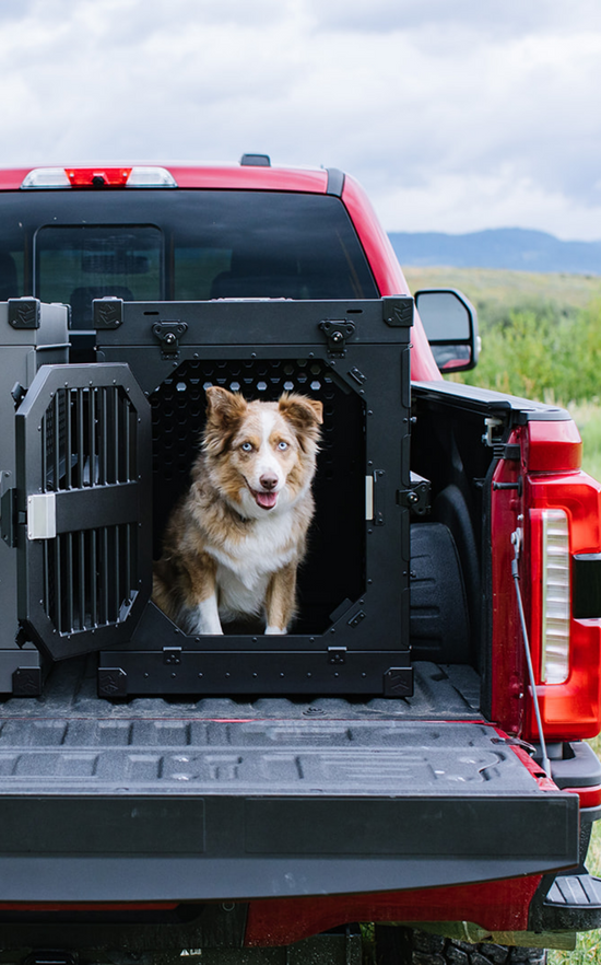 Dog in collapsible crate by Rock Creek Crates, in the bed of a red truck