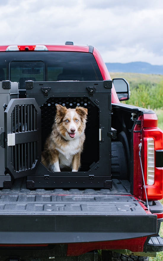 The 9 Best Dog Crates of 2024, Tested and Reviewed