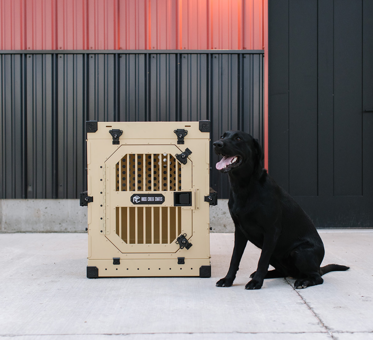 Sand-colored collapsible dog crate by Rock Creek Crates next to a black Labrador