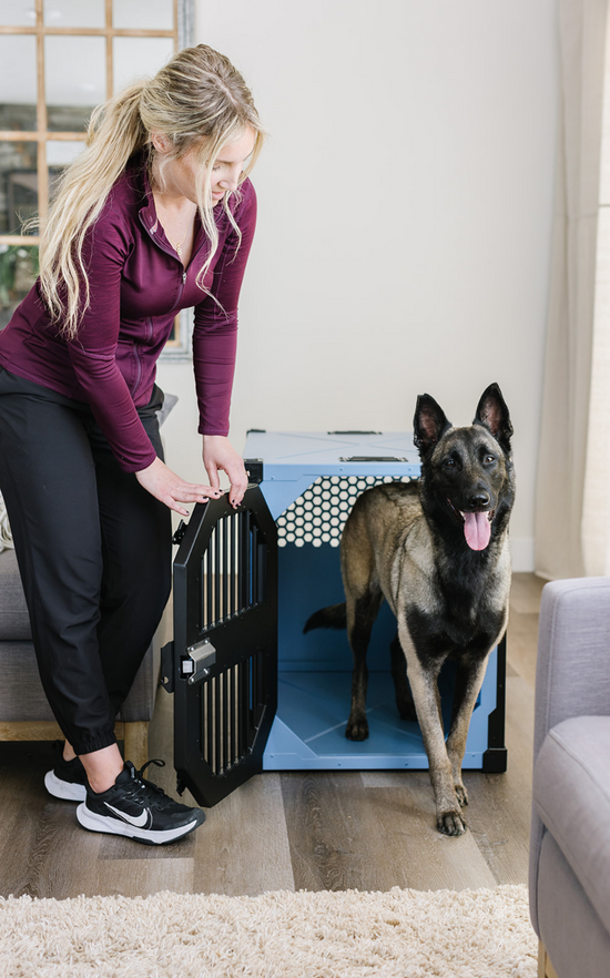 Blue collapsible crate by Rock Creek Crates, assembled with dog and owner