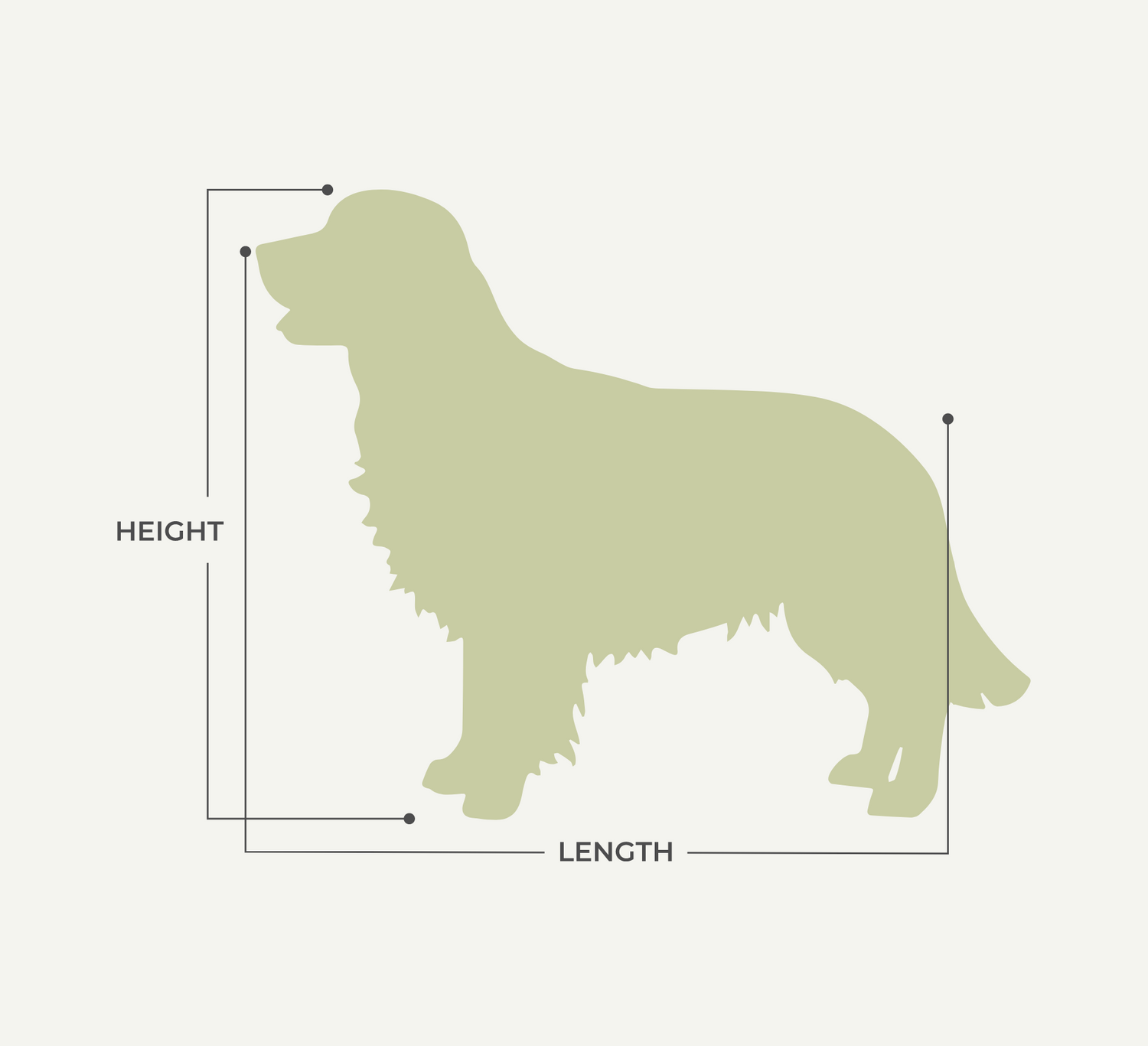 Rock Creek Crates guide on how to measure the length and height of your dog