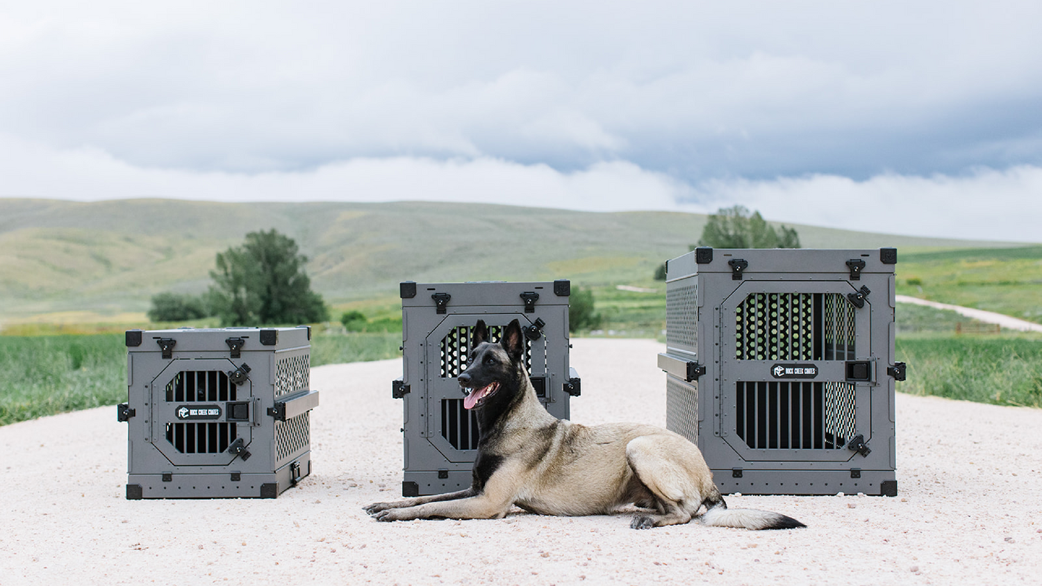 brand itself Be confused police dog crates aben sc