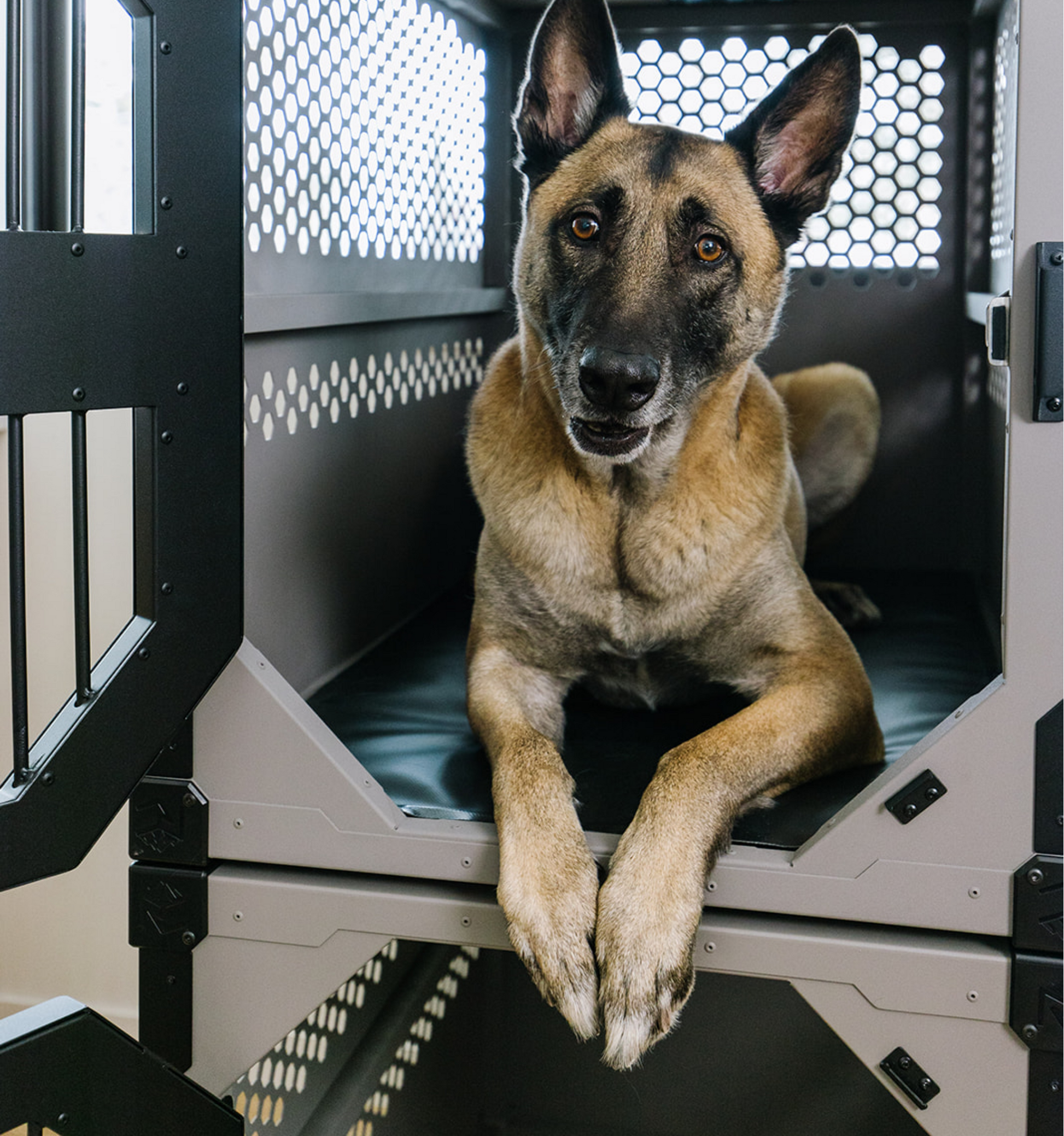 Primo comfort pad accessory shown in a stationary dog crate by Rock Creek Crates