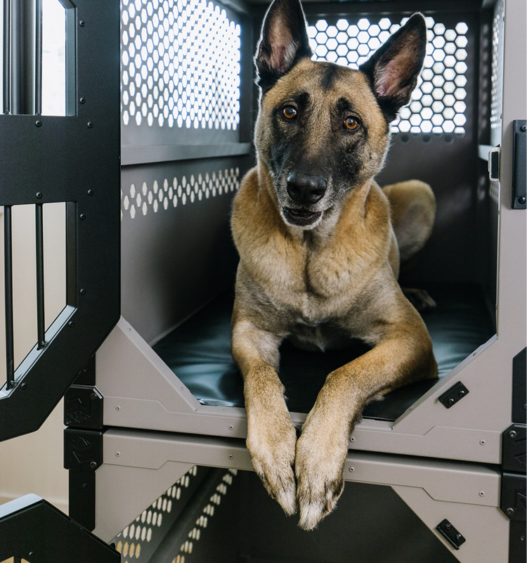 Comfort Dog Pad | Dog Crate Mats & Dog Crate Accessories – Rock Creek ...
