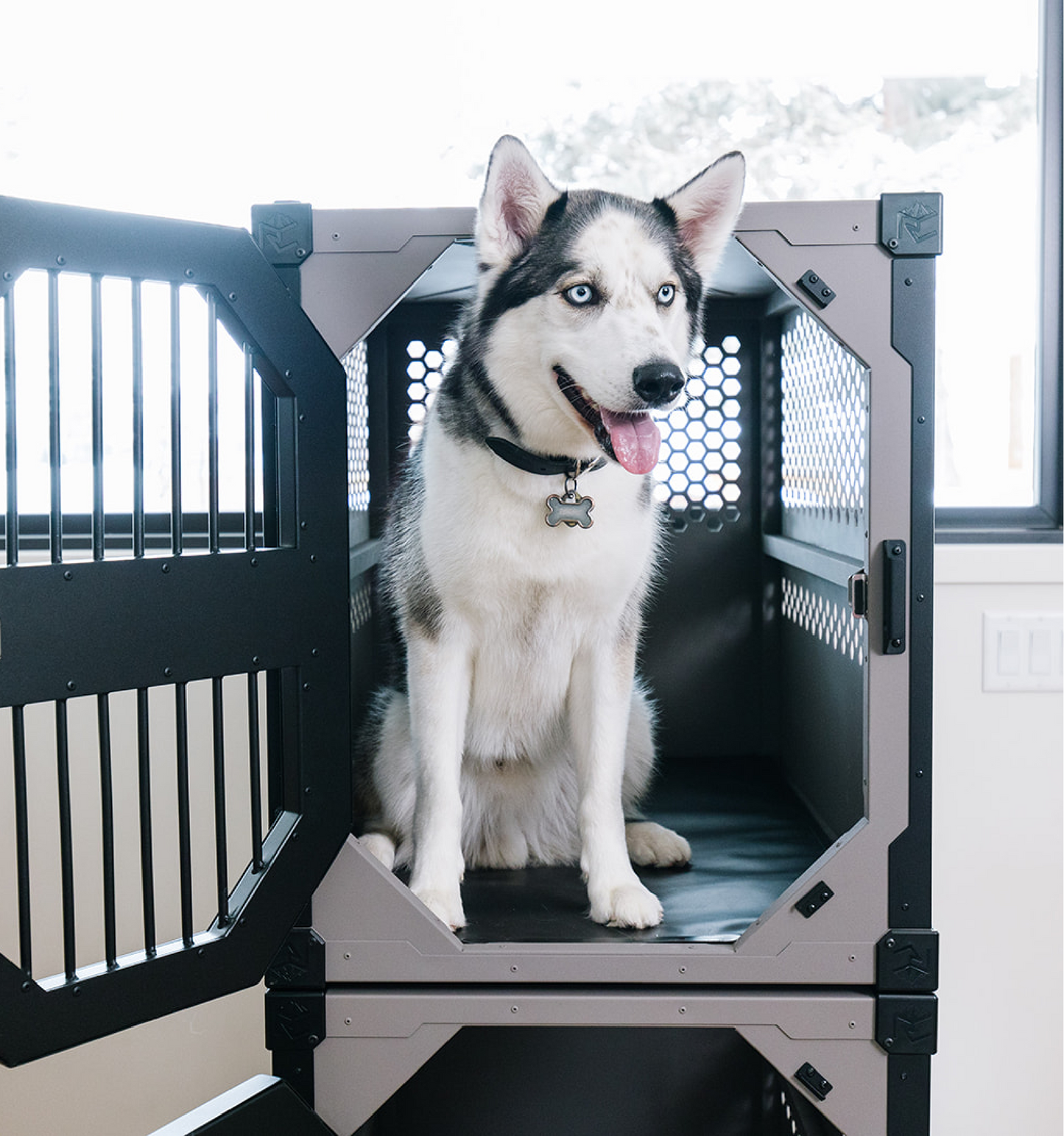 Primo comfort pad accessory in a stationary dog crate by Rock Creek Crates