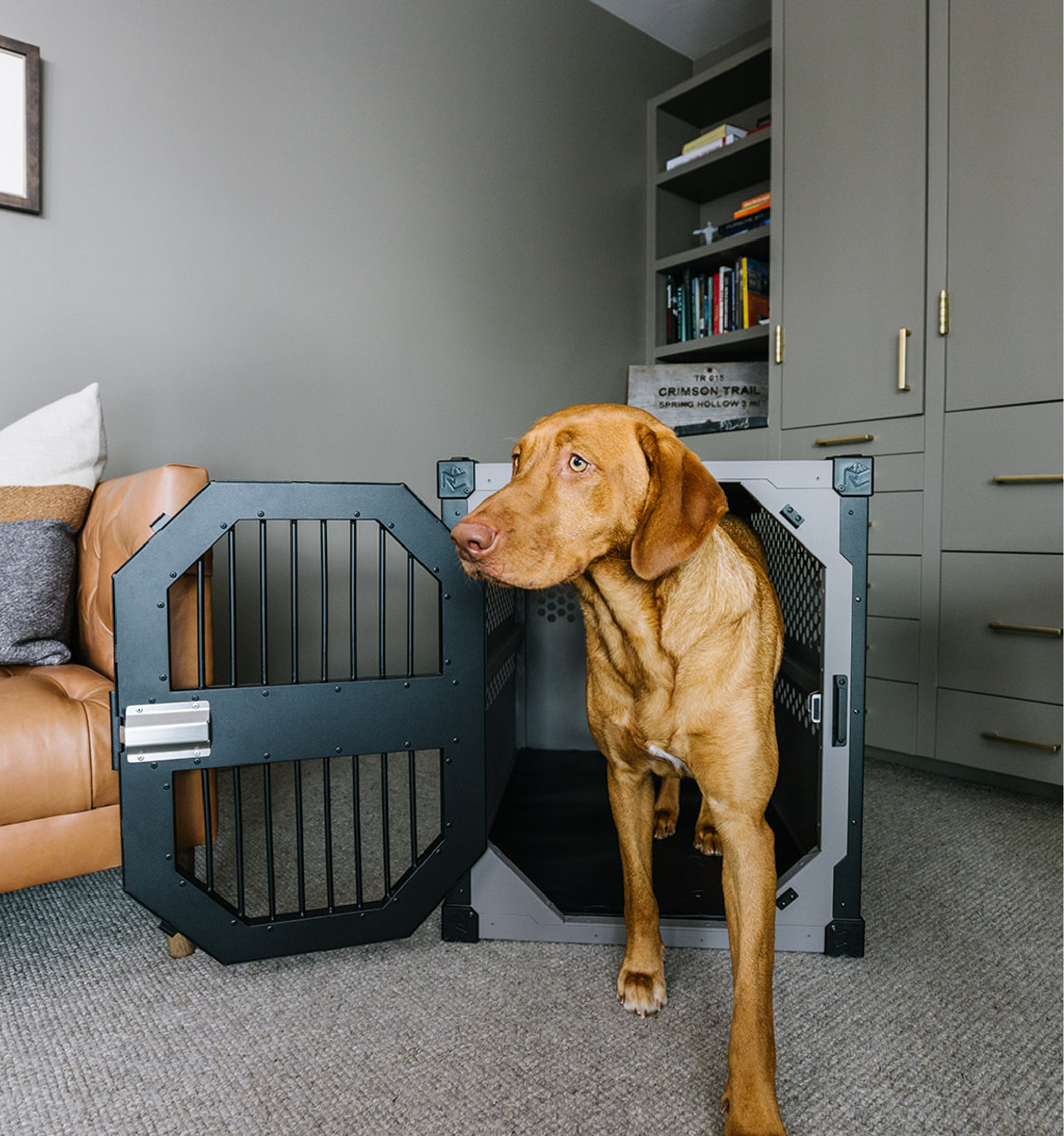 Stationary dog crate by Rock Creek Crates