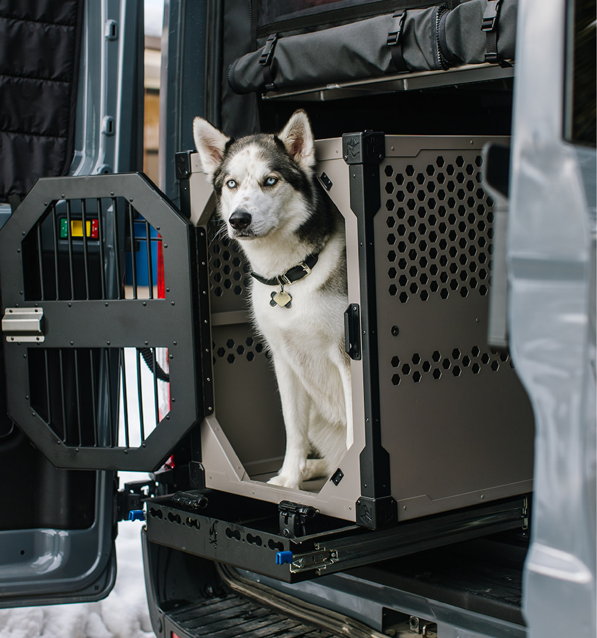 Stationary dog crate in the back of a travel van by Rock Creek Crates