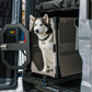 Stationary dog crate in the back of a travel van by Rock Creek Crates