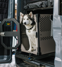 Stationary dog crate in the back of a travel van by Rock Creek Crates